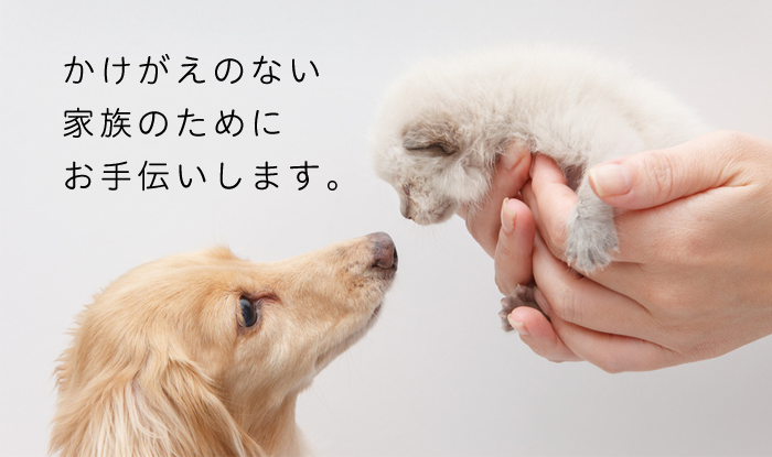 かけがえのない家族のためにお手伝いします。